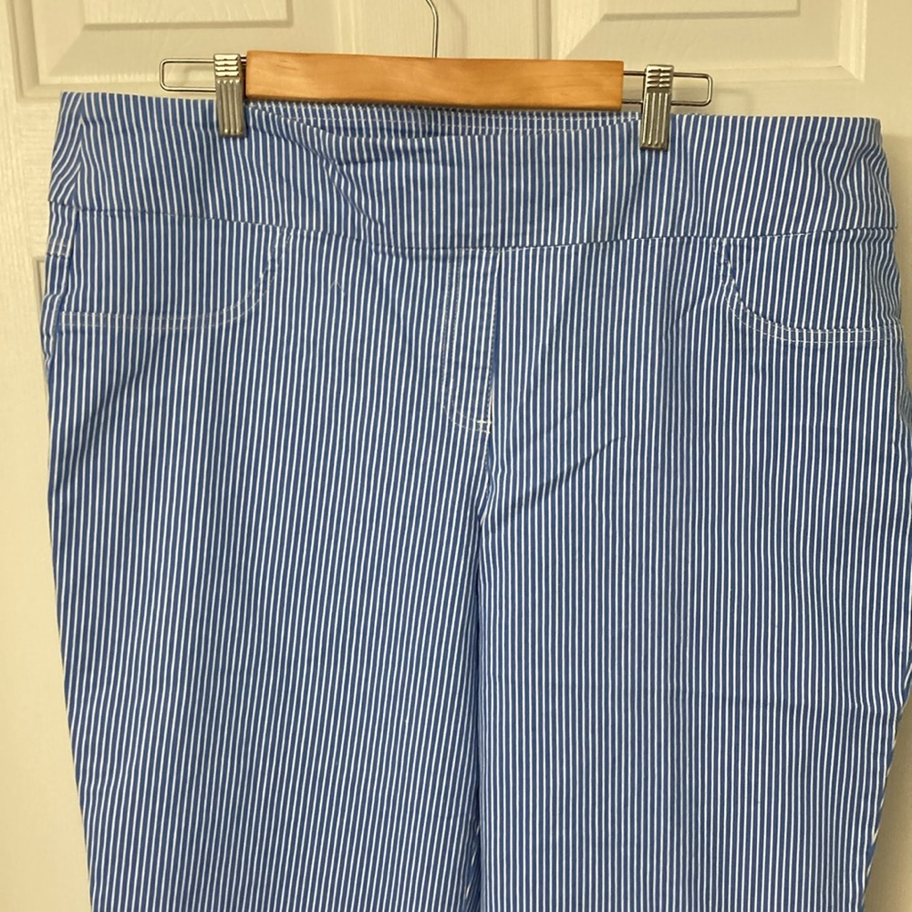 Ruby Rd. Blue and White Striped Pants - Picture 9 of 11